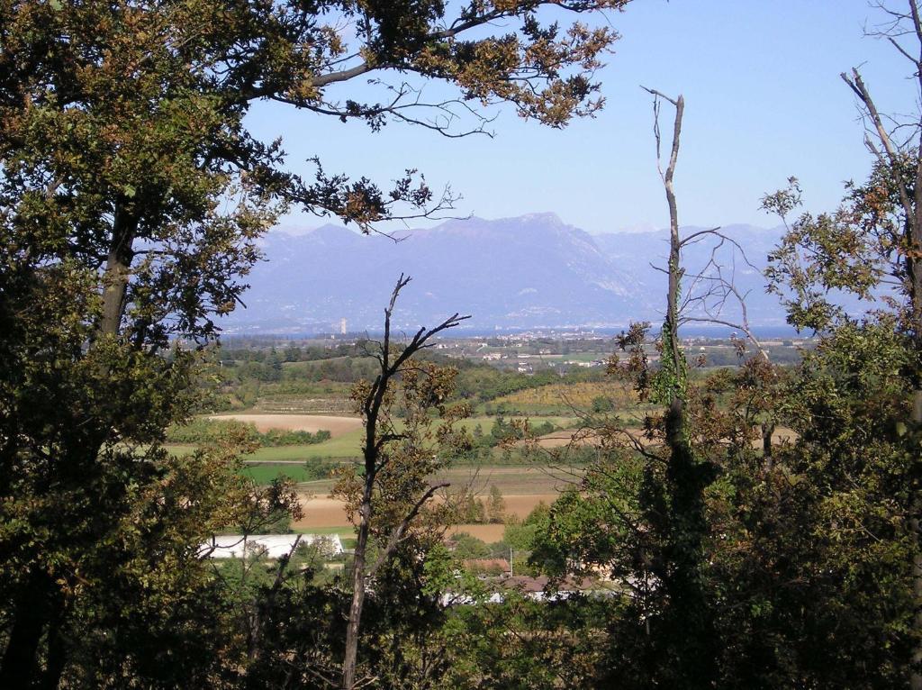 Agriturismo Dondino Cavriana Εξωτερικό φωτογραφία
