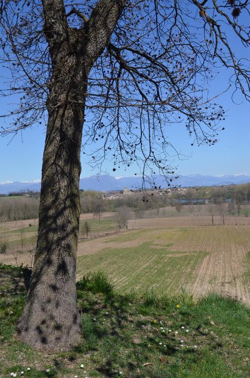 Agriturismo Dondino Cavriana Εξωτερικό φωτογραφία