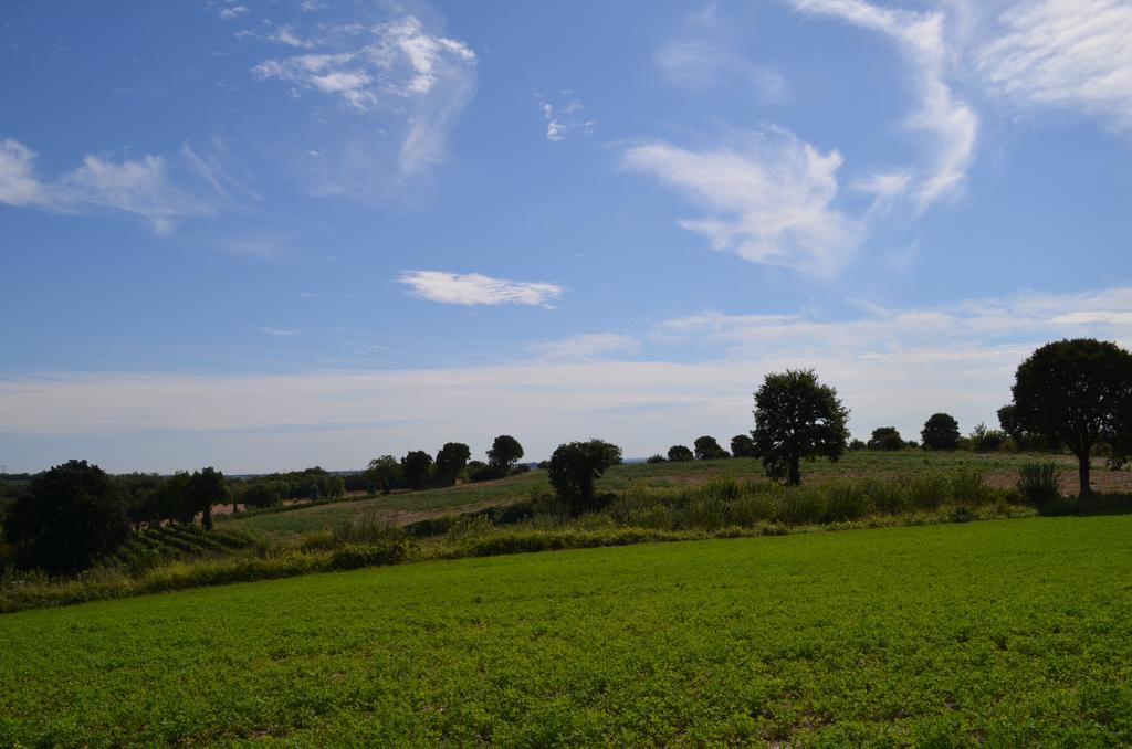 Agriturismo Dondino Cavriana Εξωτερικό φωτογραφία