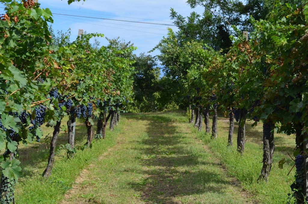 Agriturismo Dondino Cavriana Εξωτερικό φωτογραφία