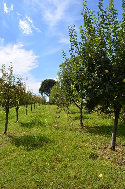 Agriturismo Dondino Cavriana Εξωτερικό φωτογραφία
